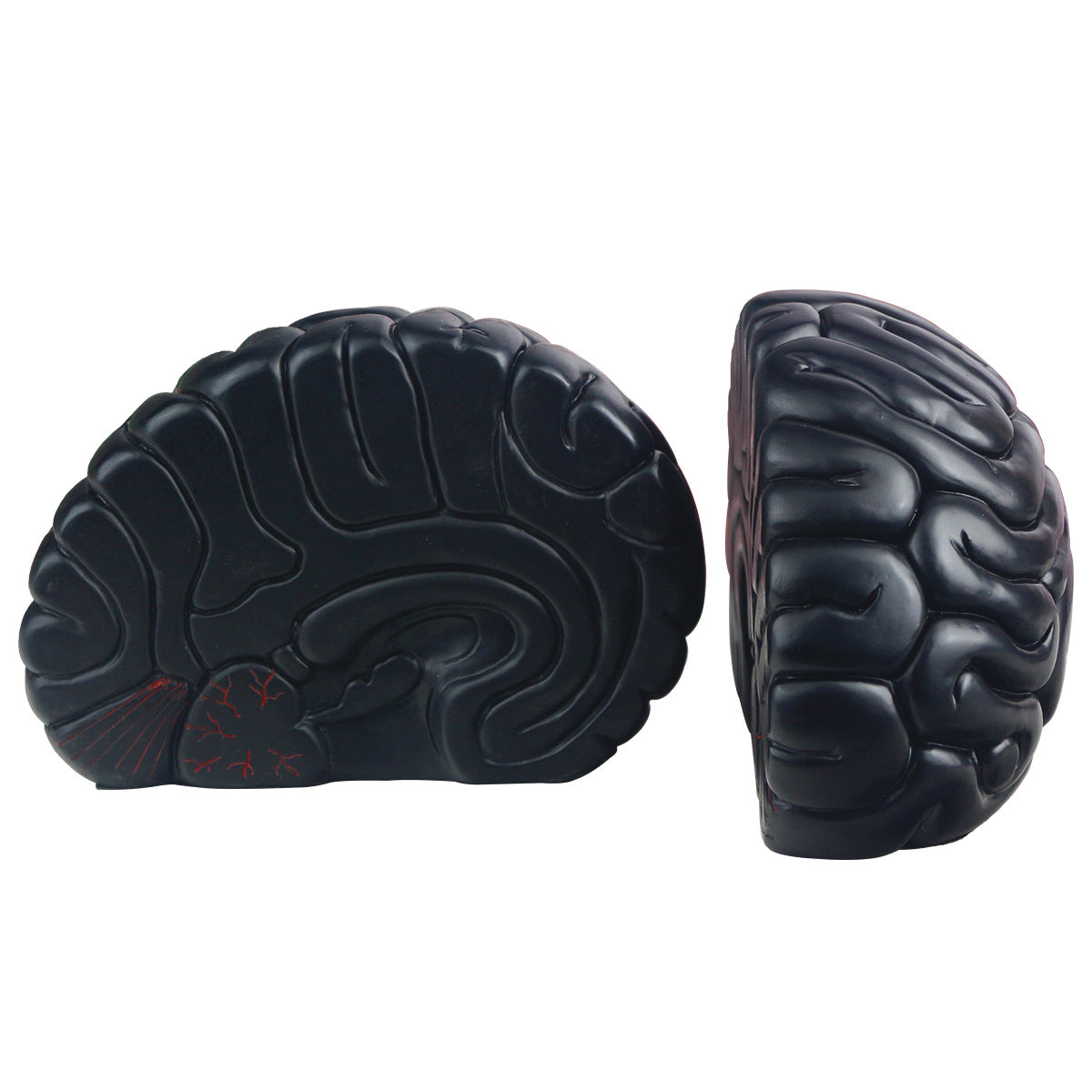Book Brain Resin Crafted Office Decoration