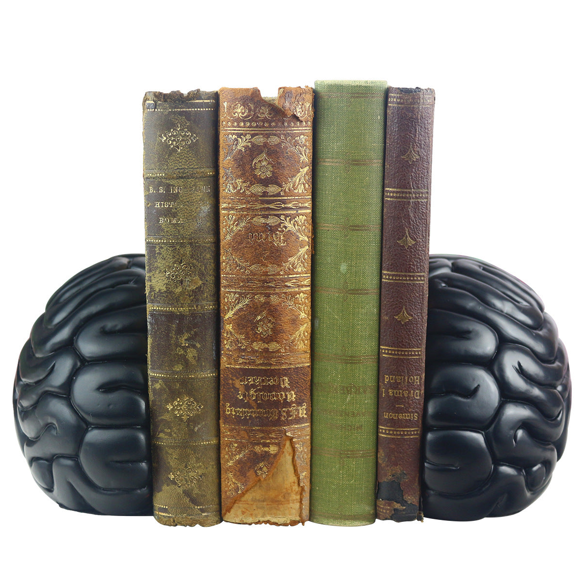 Book Brain Resin Crafted Office Decoration